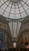 federica.piccinni Altpins Profile Picture