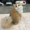 mennyaah Altpins Profile Picture