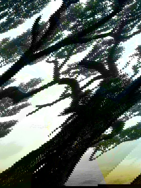 taylor.creeden taylor.creeden archive image