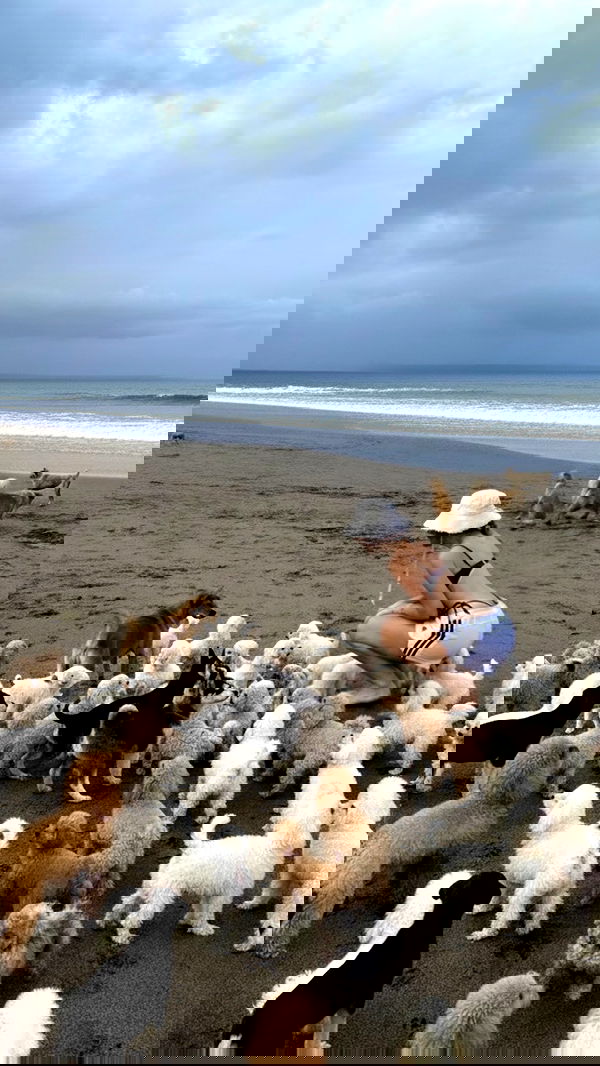 taylor.creeden taylor.creeden archive image