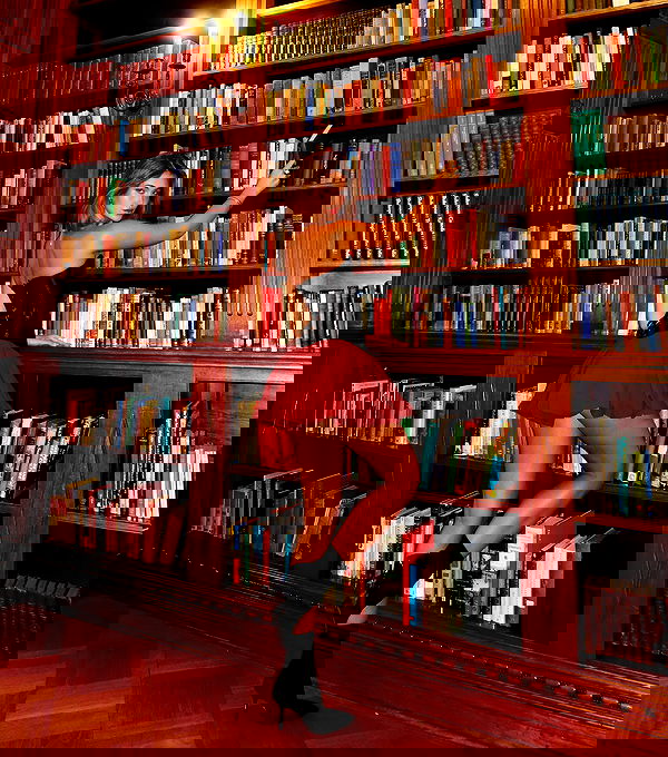 taylor.creeden taylor.creeden archive image