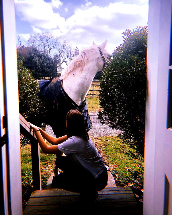 gigihadid instagram image archive image