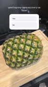 biton__adi Altpins Profile Picture