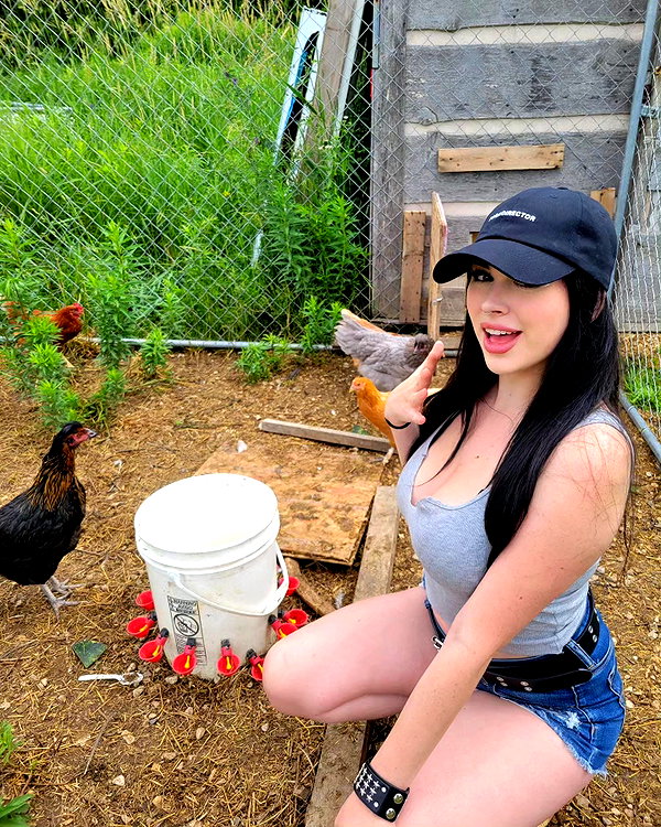 rixiadigivolved instagram image archive image