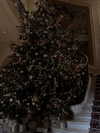 zoeliss Altpins Profile Picture