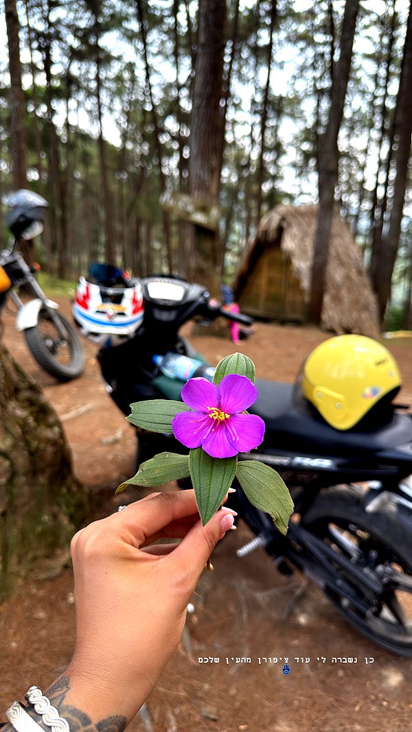 kesemgreenyer instagram image archive image