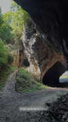 ancideja Altpins Profile Picture