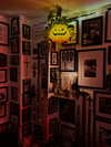 mollieruck Altpins Profile Picture