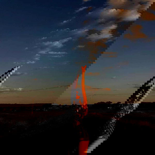 annfigmax image ~ Altpins