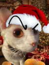 milkiwifey Altpins Profile Picture