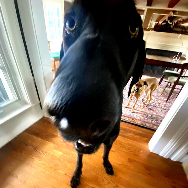 Archived image from @lolabllue on Instagram