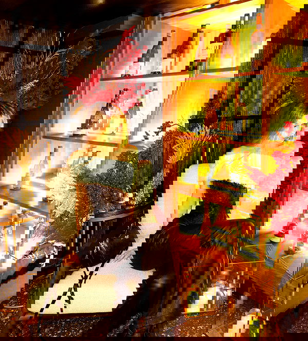 pinx_ir pinx_ir archive image