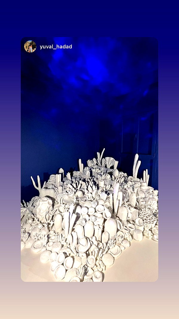 michal_cohen017 instagram image archive image