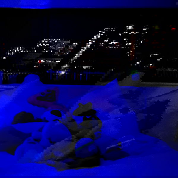 jtilb2 image ~ Altpins