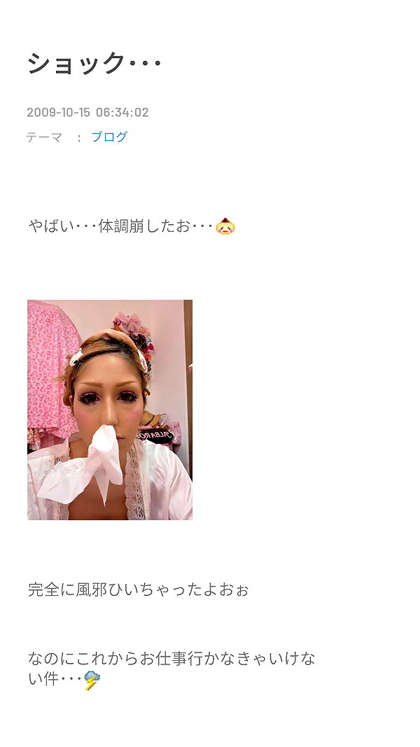 piyokoblog archive image