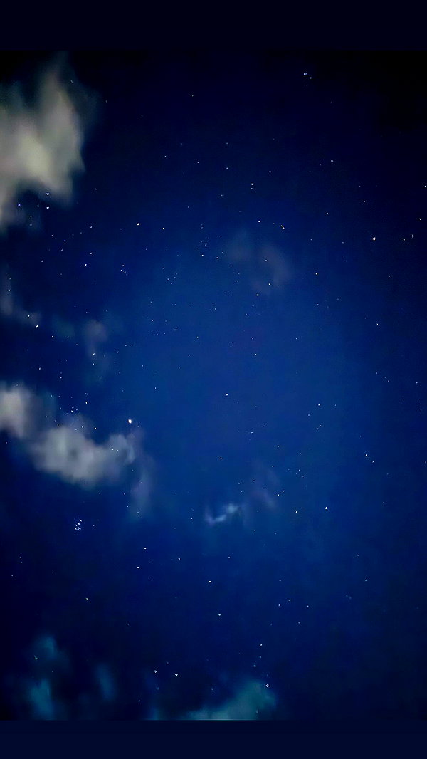 darkstar_mia instagram image archive image
