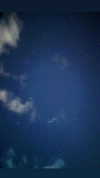 darkstar_mia Altpins Profile Picture