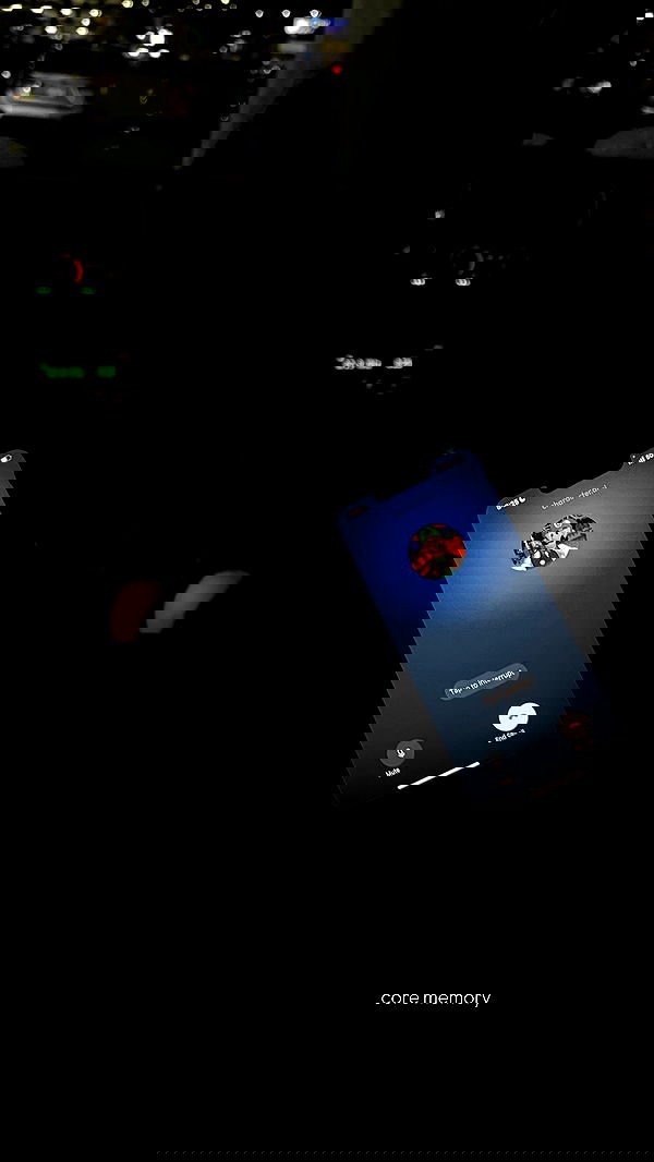 mosssaico mosssaico archive image