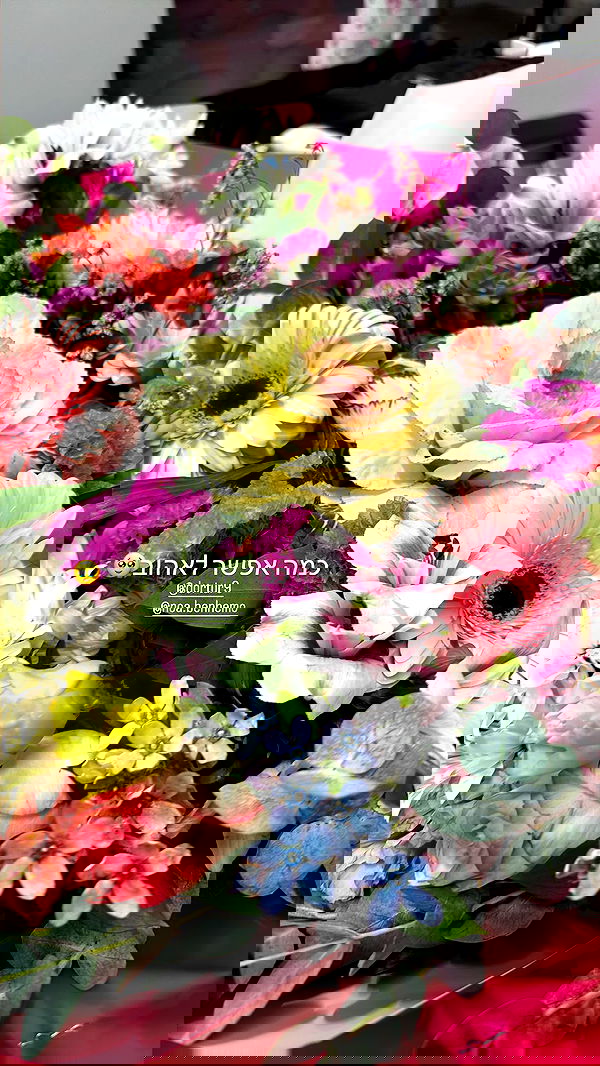 shir.davida6 shir.davida6 archive image