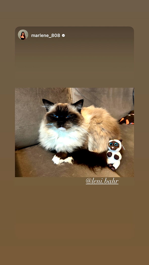 leni.bahr instagram image archive image