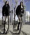 amanitalis Altpins Profile Picture