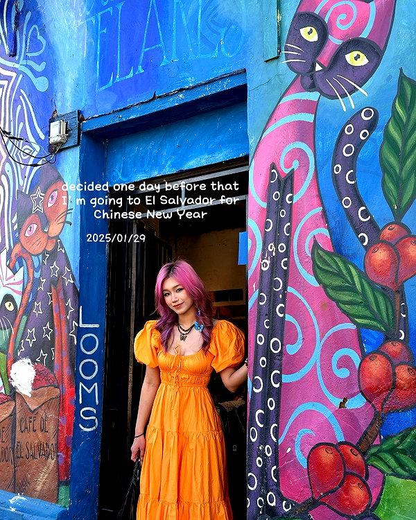 shulunc instagram image archive image