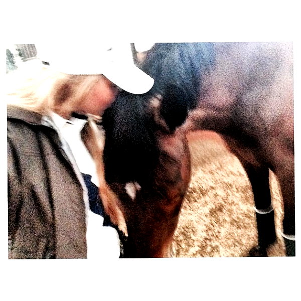 gigihadid instagram image archive image