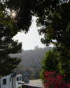 yemada Altpins Profile Picture