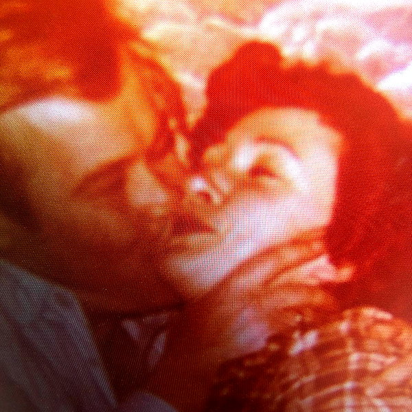 leni.bahr instagram image archive image