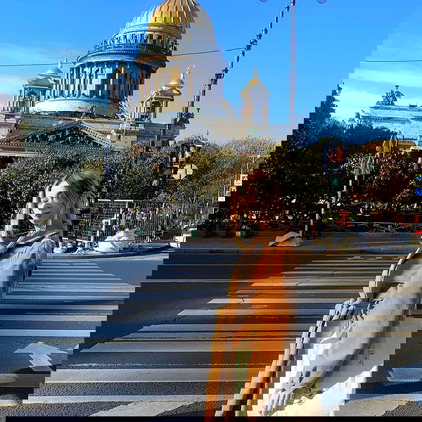 pinx_ir pinx_ir archive image