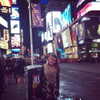sashapieterse Altpins Profile Picture