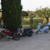michalcohen___ Altpins Profile Picture