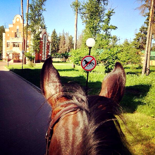 kafelnikova_a instagram image archive image