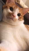 jiw_____n Altpins Profile Picture