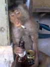 alexconsani Altpins Profile Picture