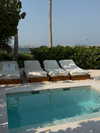 shira_adar_ Altpins Profile Picture