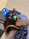 ninastodden Altpins Profile Picture