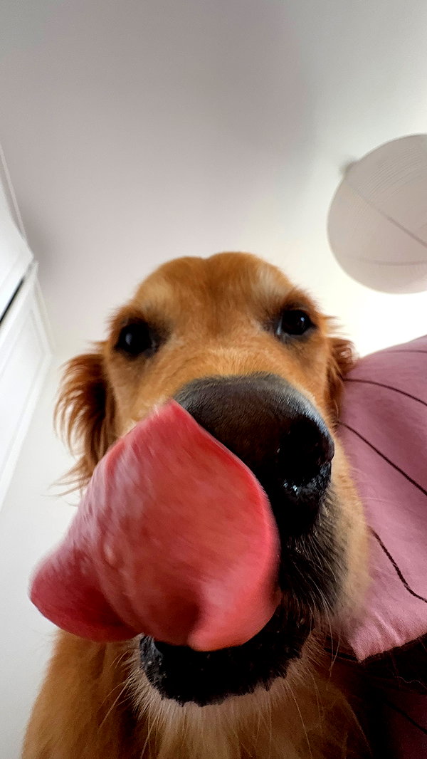 Archived image from @edenharper on Instagram