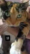 dante_yangpa Altpins Profile Picture