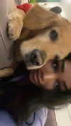 kayyybear Altpins Profile Picture