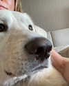 jenniferaniston Altpins Profile Picture