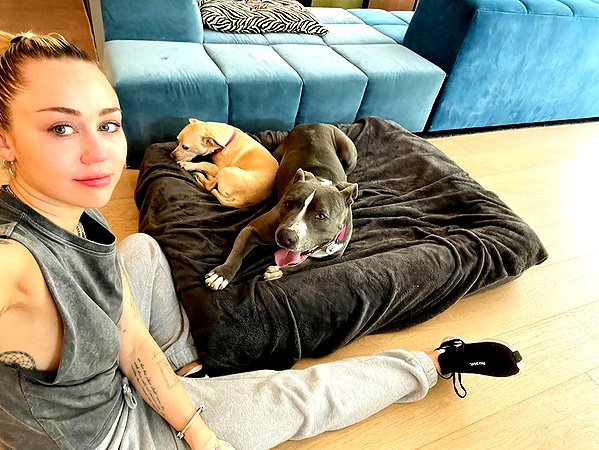 mileycyrus instagram image archive image