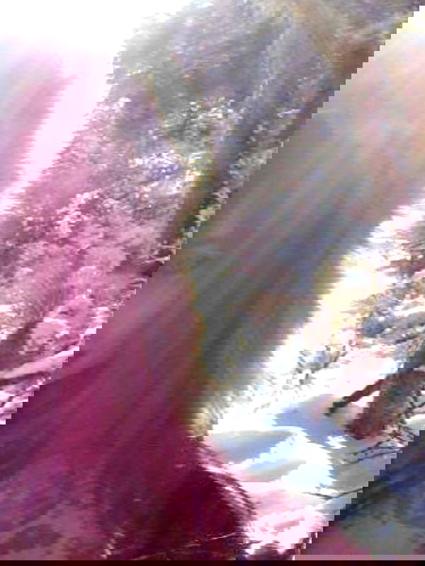 zommmbri zommmbri archive image