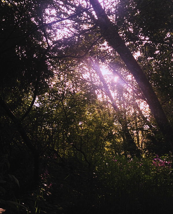 caterpiekae instagram image archive image