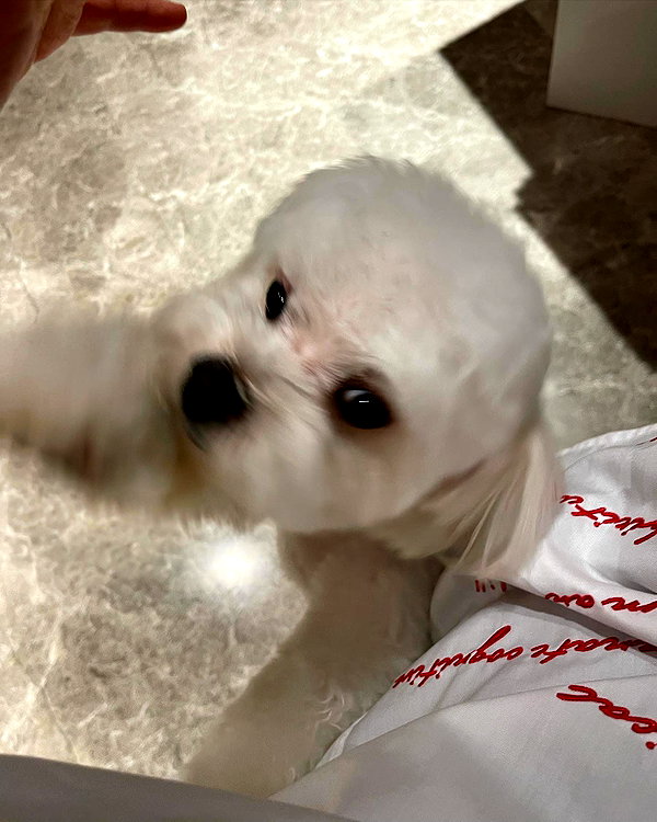 kelseydopegal instagram image archive image