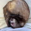 dante_yangpa Altpins Profile Picture