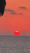 lihi.k_ Altpins Profile Picture