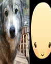 malmalirl Altpins Profile Picture
