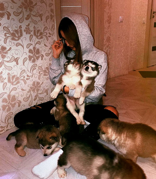 alishevs instagram image archive image