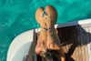 gabbyepstein Altpins Profile Picture